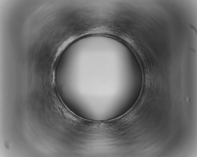 X0000100361366200806201554