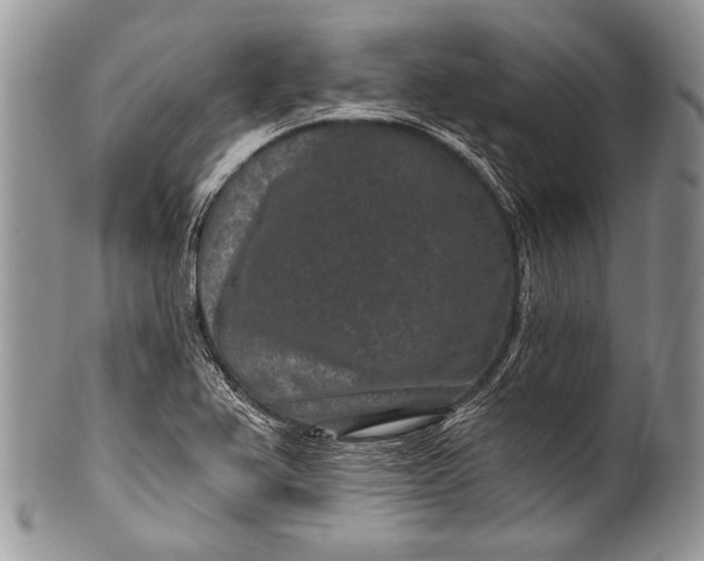 X0000100361367200806201554