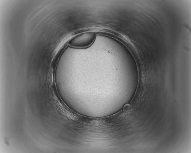 X0000100361368200806201554