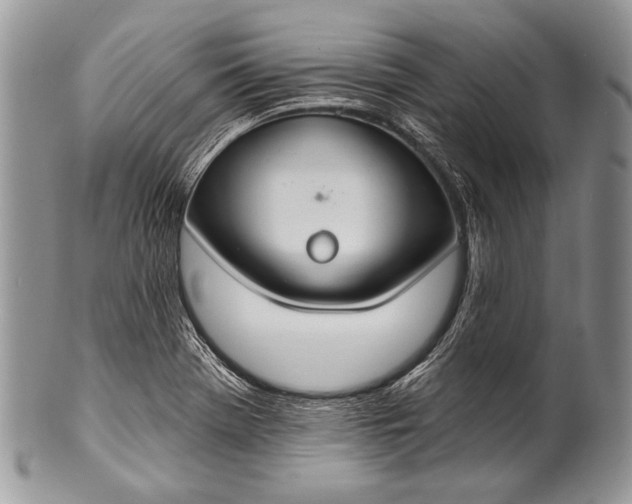 X0000100361369200806201554