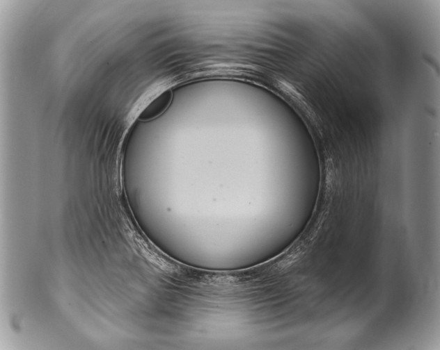 X0000100361370200806201554