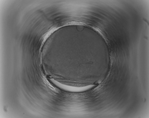 X0000100361371200806201554