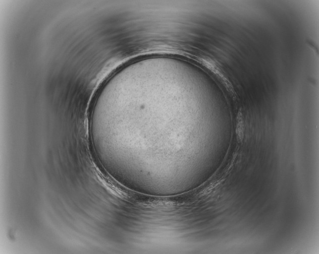 X0000100361372200806201554