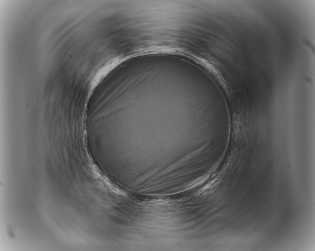 X0000100361373200806201554