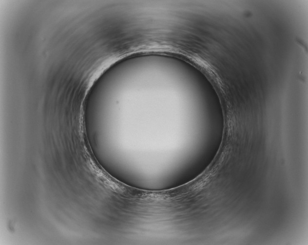 X0000100361374200806201554