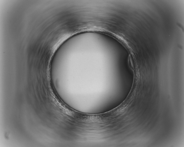 X0000100361375200806201554