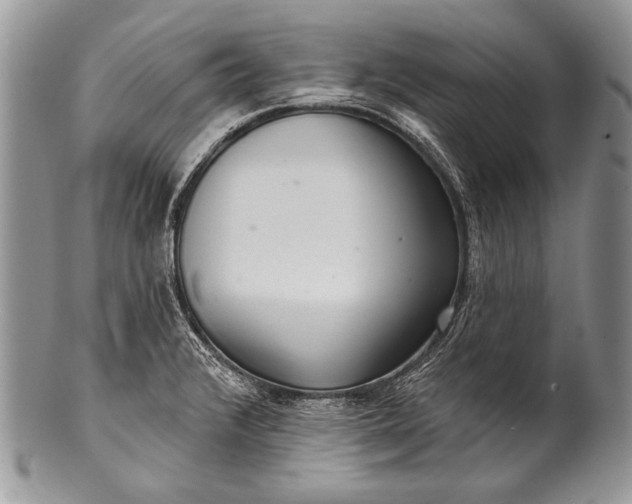 X0000100361376200806201554