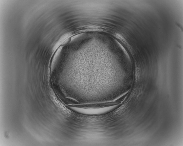 X0000100361378200806201554