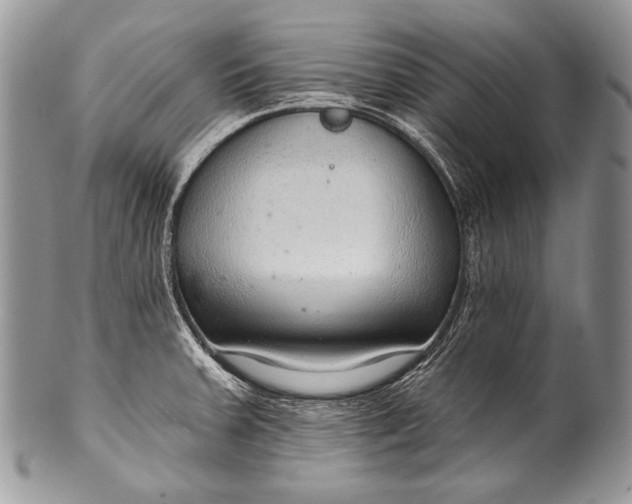 X0000100361379200806201554