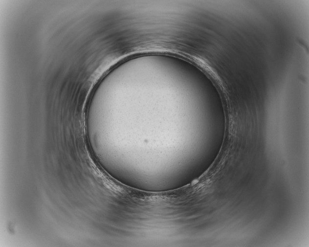 X0000100361380200806201554