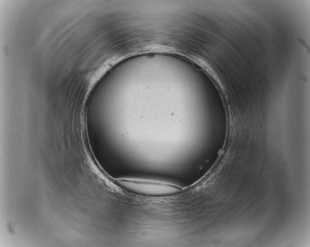 X0000100361381200806201554