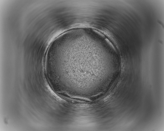 X0000100361382200806201554