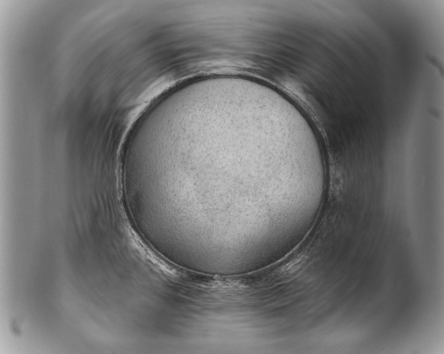 X0000100361384200806201554