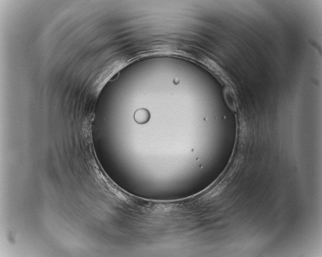 X0000100361385200806201554