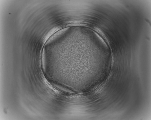 X0000100361386200806201554