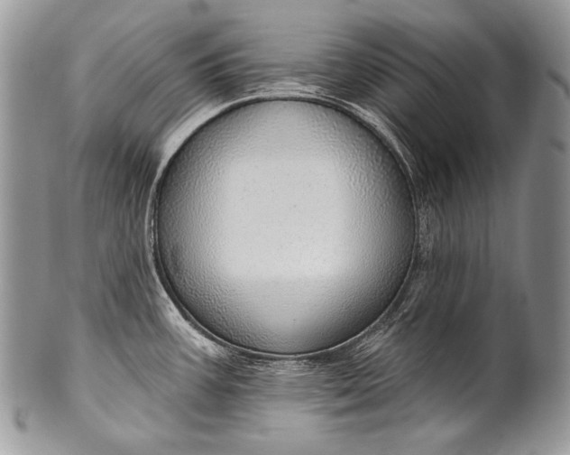 X0000100361387200806201554