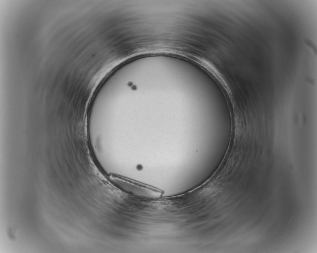 X0000100361388200806201554