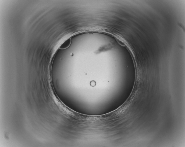 X0000100361389200806201554