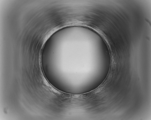 X0000100361390200806201554