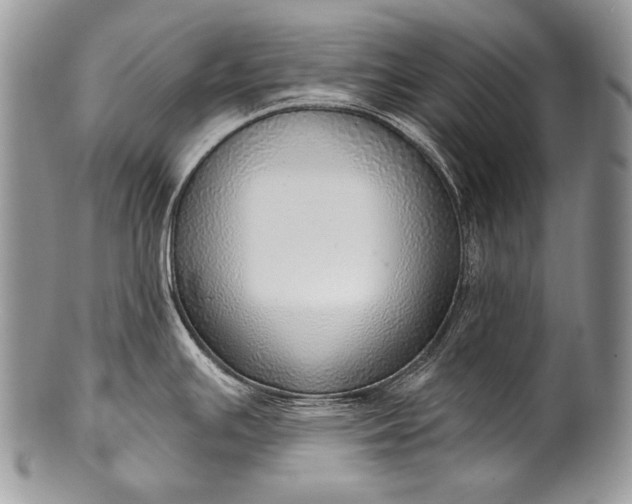 X0000100361391200806201554