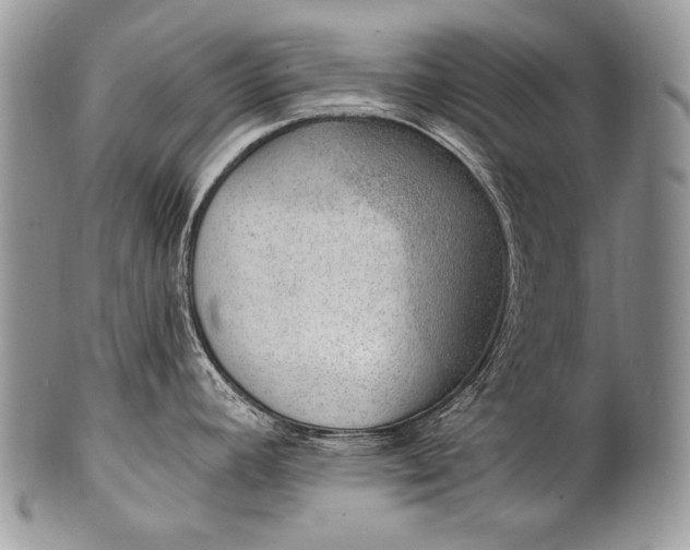 X0000100361392200806201554