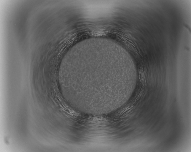 X0000100361393200806201553