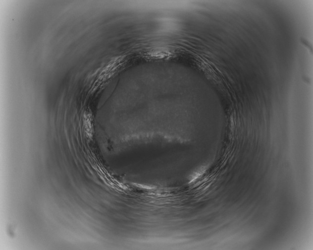 X0000100361394200806201553