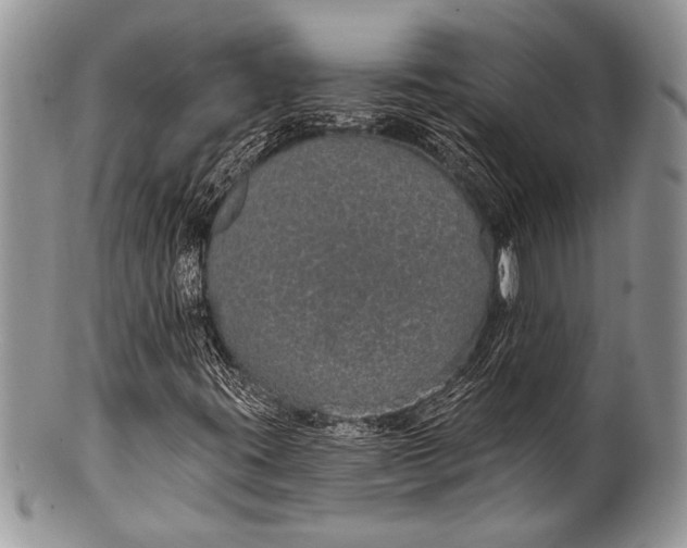 X0000100361395200806201553