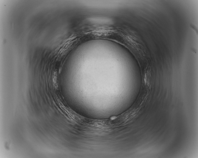 X0000100361396200806201553