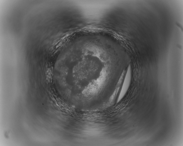 X0000100361397200806201553