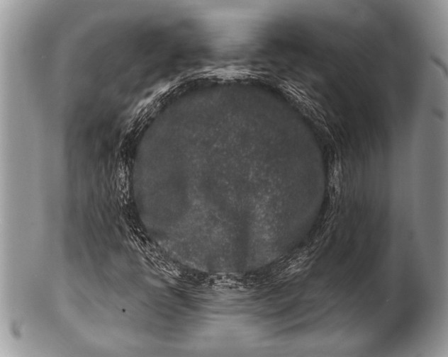 X0000100361398200806201553