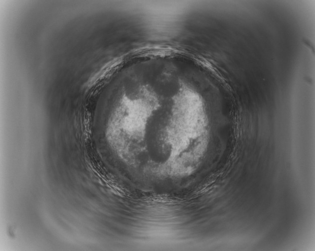 X0000100361399200806201553