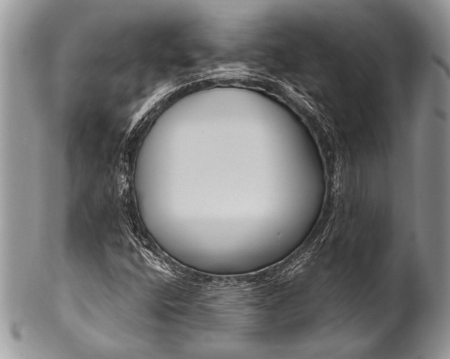 X0000100361400200806201553