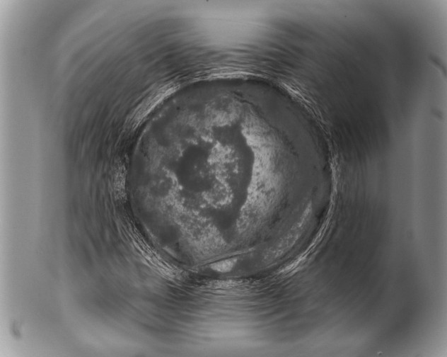 X0000100361401200806201553