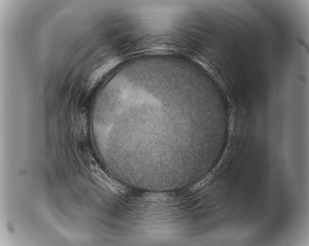 X0000100361402200806201553