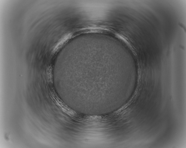 X0000100361403200806201553