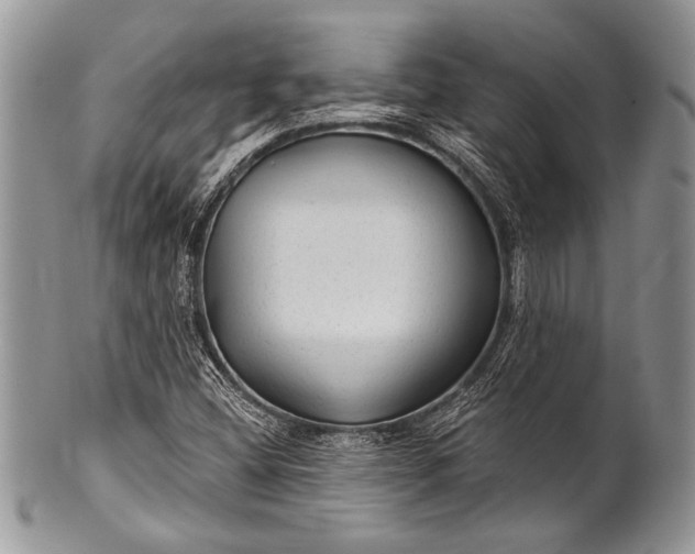 X0000100361404200806201553