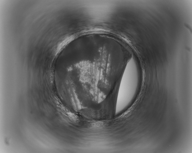 X0000100361405200806201553