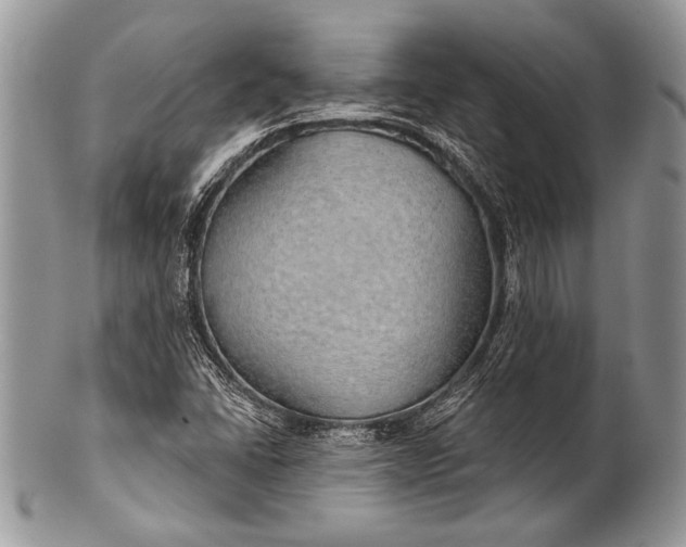 X0000100361406200806201553