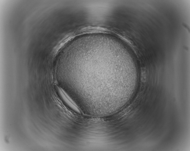 X0000100361407200806201553