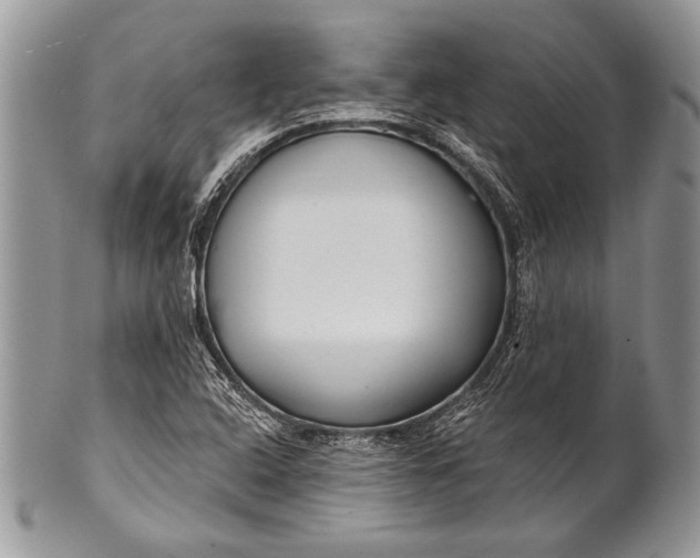 X0000100361408200806201553