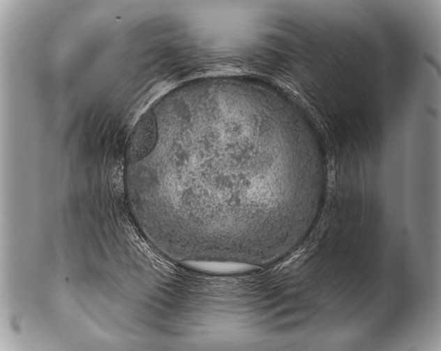 X0000100361409200806201553