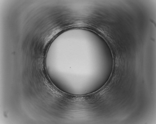 X0000100361410200806201553