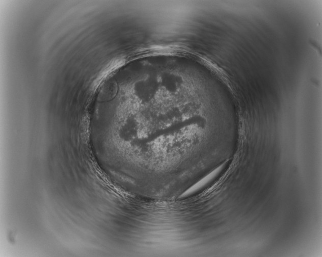 X0000100361411200806201553