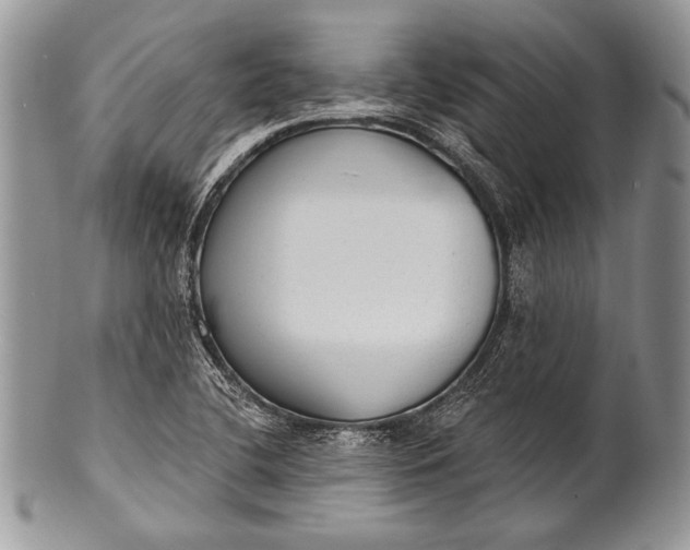 X0000100361412200806201553