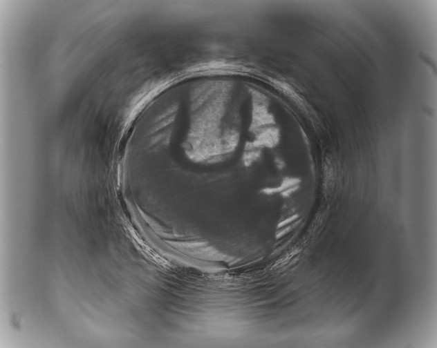 X0000100361413200806201553