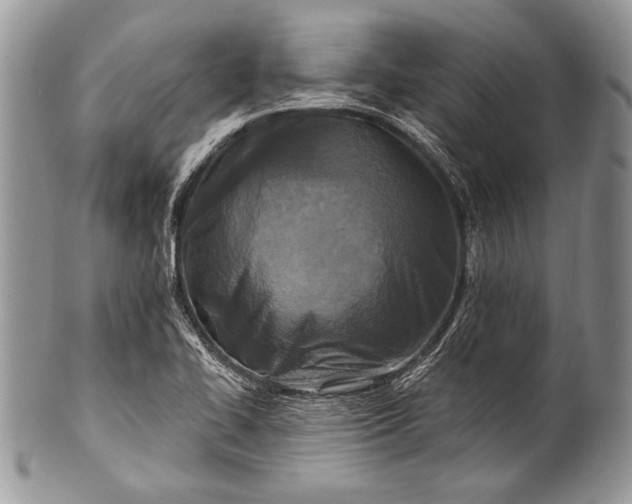 X0000100361414200806201553