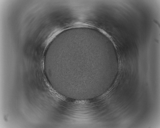 X0000100361415200806201553