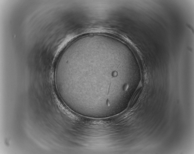 X0000100361416200806201553