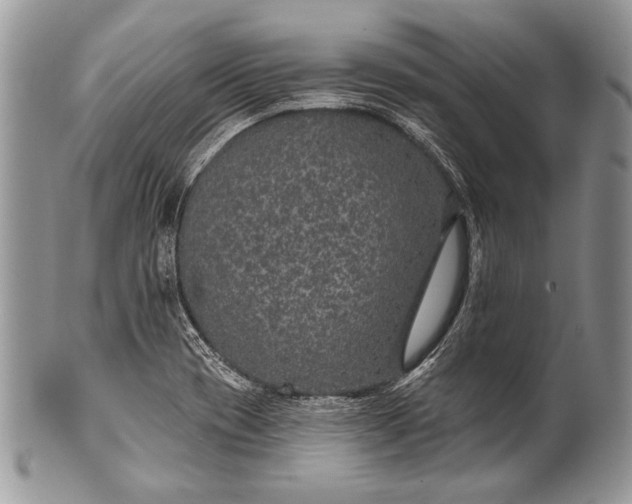 X0000100361417200806201553